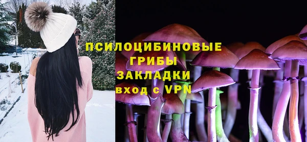 сатива Алексин