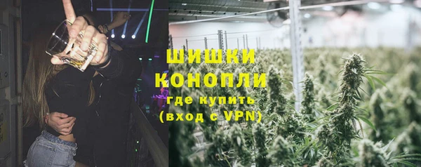 сатива Алексин