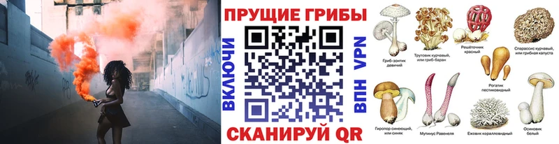 блэк спрут вход  Крым  Галлюциногенные грибы Psilocybe  где купить наркоту 